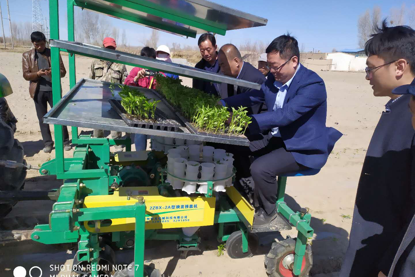 新疆辣椒栽苗机