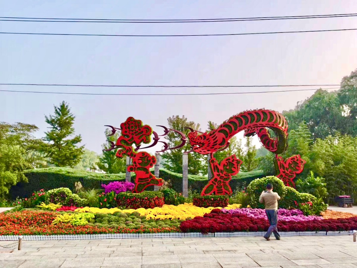 40万盆鲜花扮靓顺义,品种为天安门广场"同款"