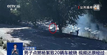 74岁老人随手烧杨絮致20辆汽车被烧成骨架 专家给出定责标准