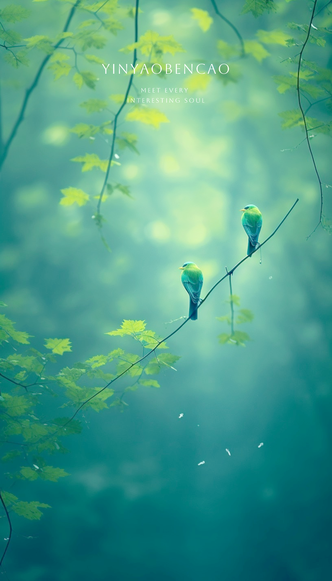 聆听鸟鸣:放松心灵的自然韵律