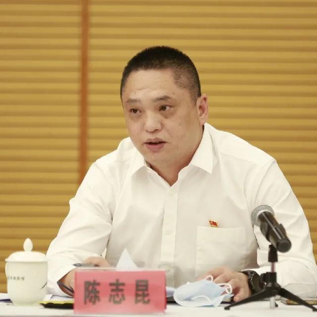 党代表,基层政法单位代表,律师,法律服务工作者,企业家代表张镇雄