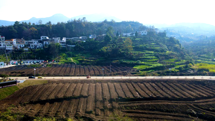 清镇市新店镇鸭池河村:用好"敲门砖" 深耕产业振兴"试验田"