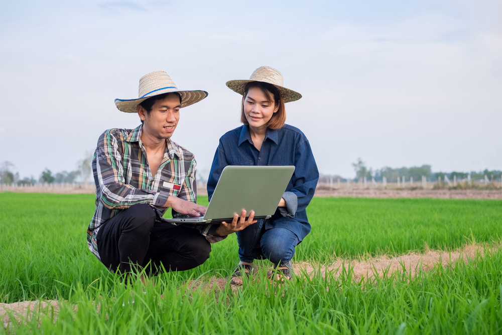 新型职业农民已超2000万,农民职业教育培训最受欢迎的课程是什么?