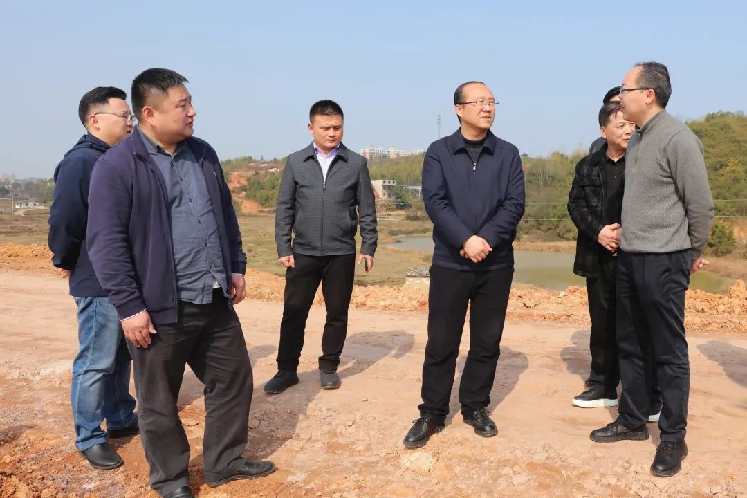 区委书记唐卫湘调研春耕备耕和水利工程建设工作