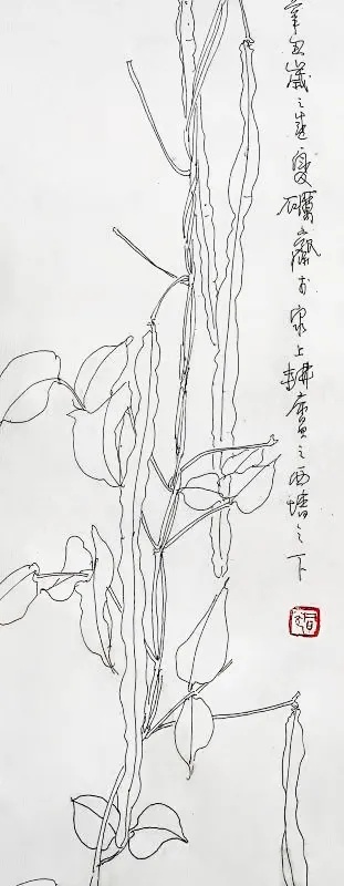 砺斋同光花鸟写生系列之——豆角