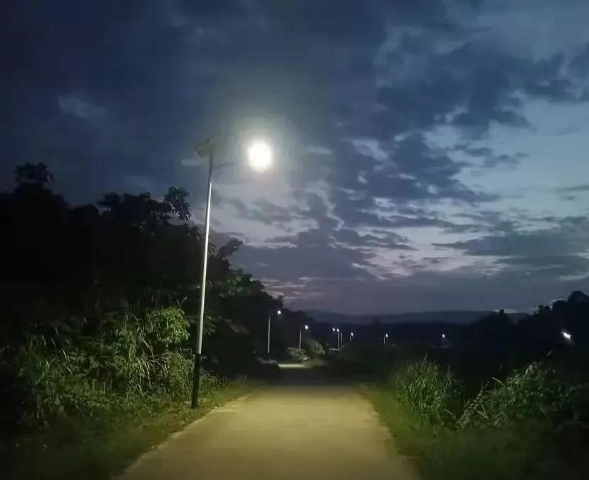 马路夜景图片农村图片