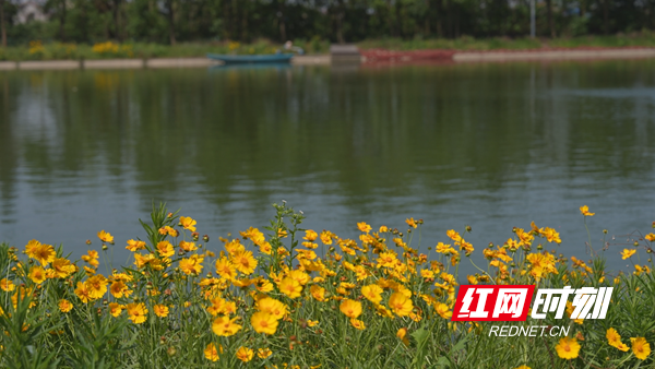 望城区千龙湖获评湖南省美丽河湖优秀案例