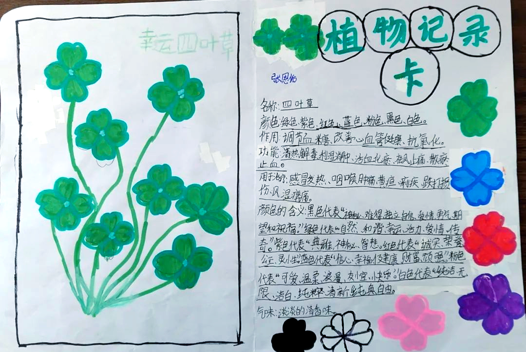 植物的观察记录卡怎么写(植物观察记录卡怎么写兰花)