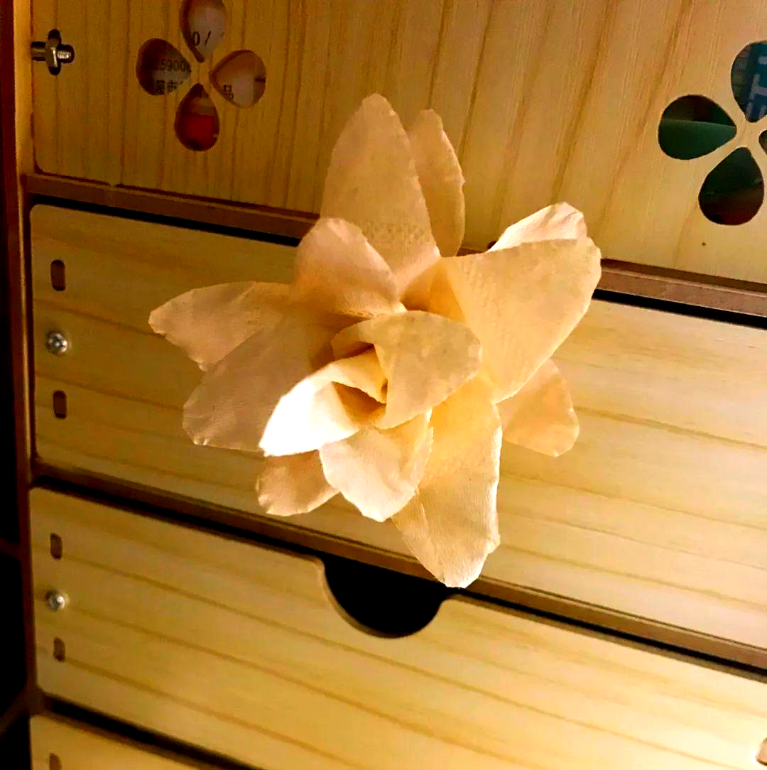 用纸巾轻松打造白玫瑰花,浪漫永存