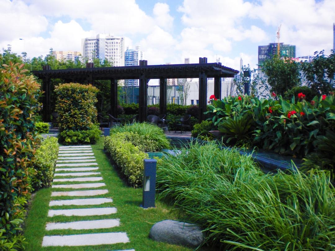 【探索】公园城市建设中的立体绿化,你知道哪些?