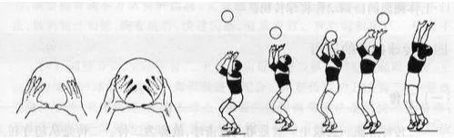 「收藏」篮球,排球,足球三大球动作技术图解