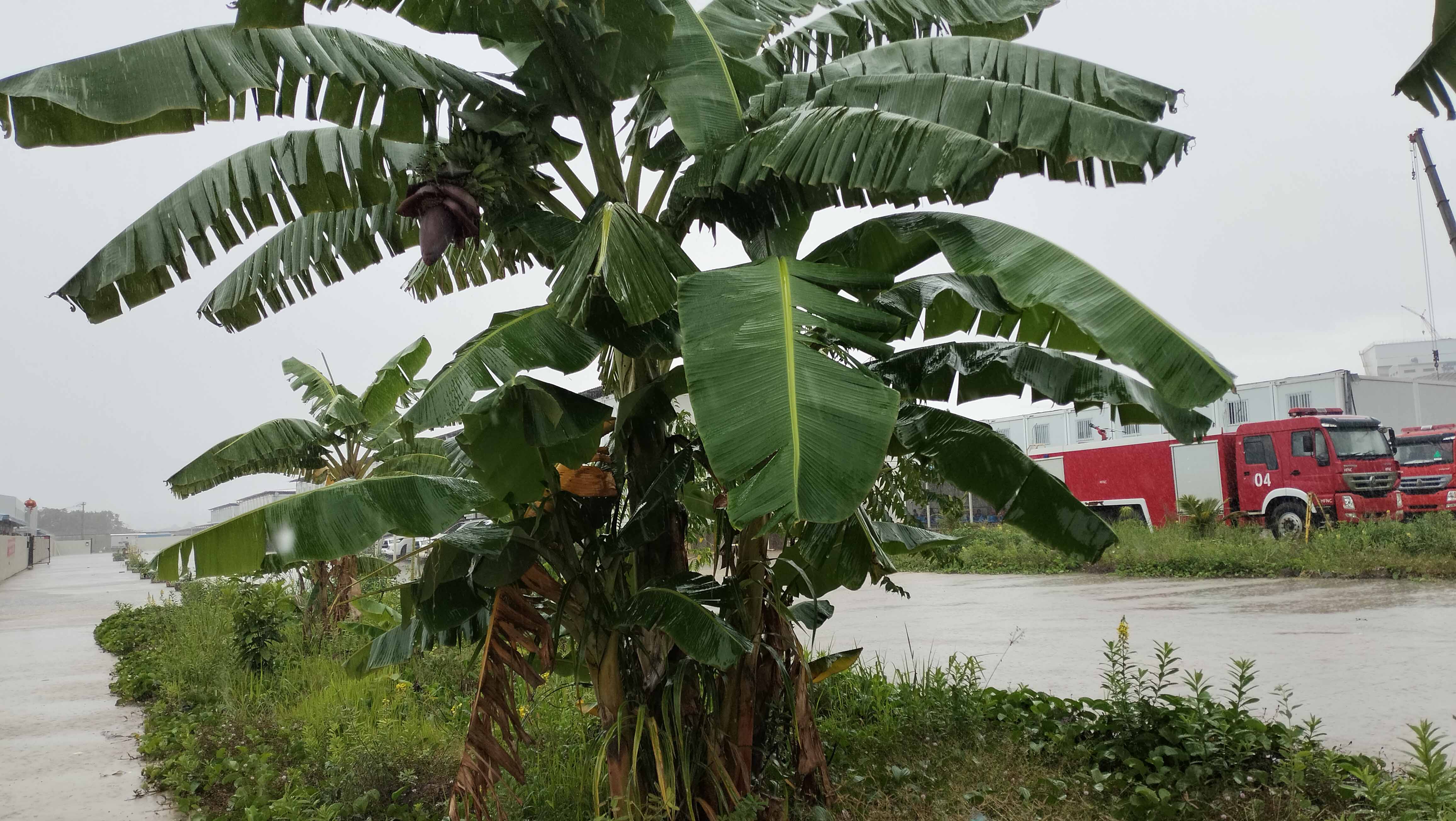 我在印尼小k島上的276天裡,毫不誇張的遇兩百多天雨