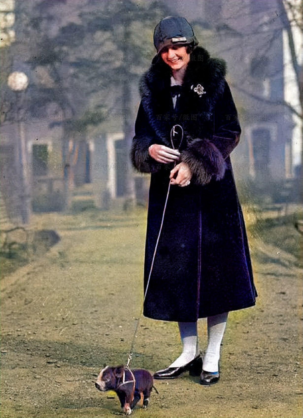 老照片:德军宴请斯大林的儿子,美军转押女护士,尼克松夫人喂猪