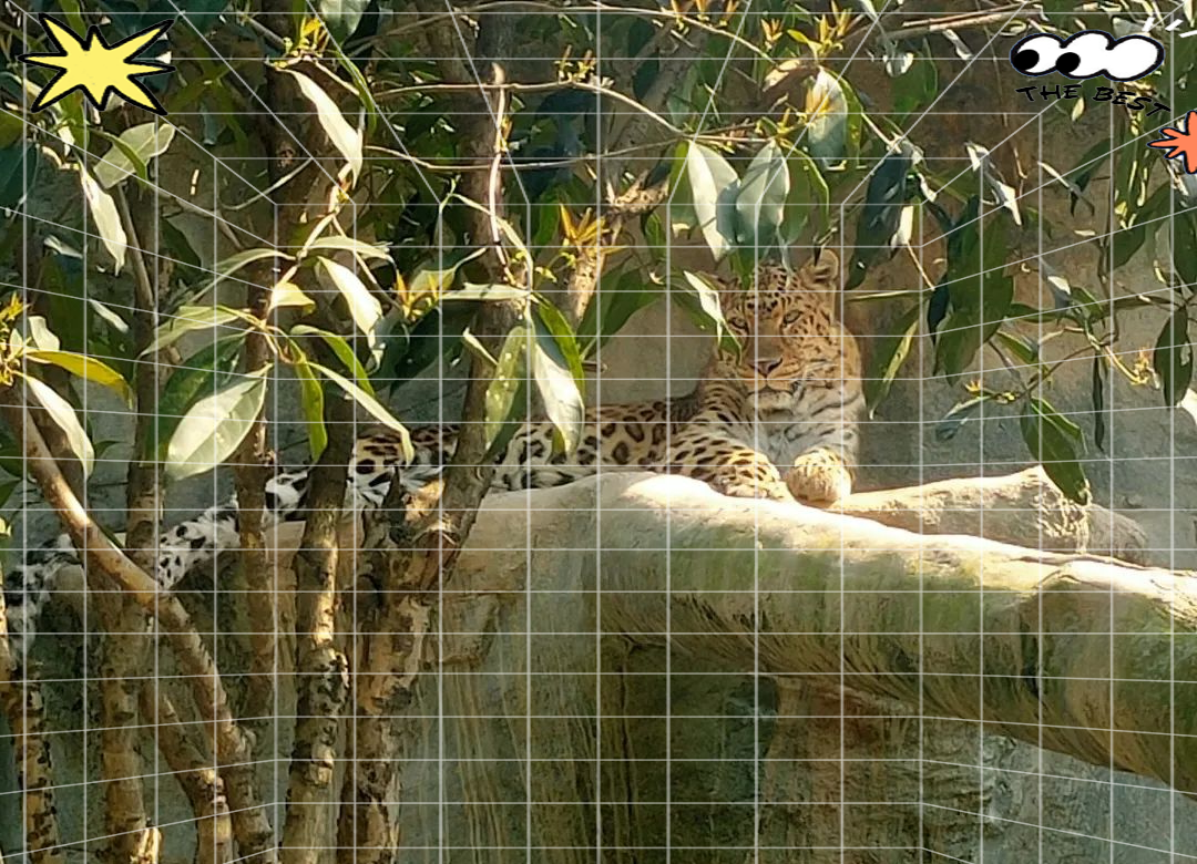 温州动物园搬迁工程终于要启动,新址在哪