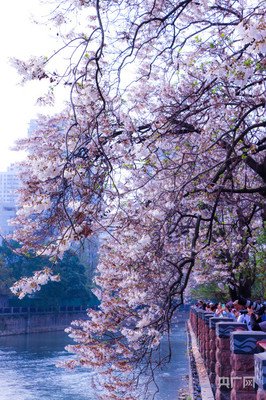 春風春雨細無聲「現代詩」