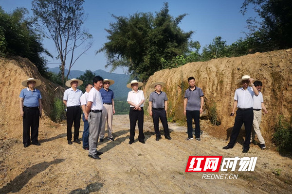 永州丨周益志深入东安县调研指导乡村振兴工作