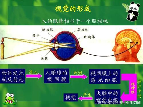 从光的属性与度量谈论植物生长灯插图1