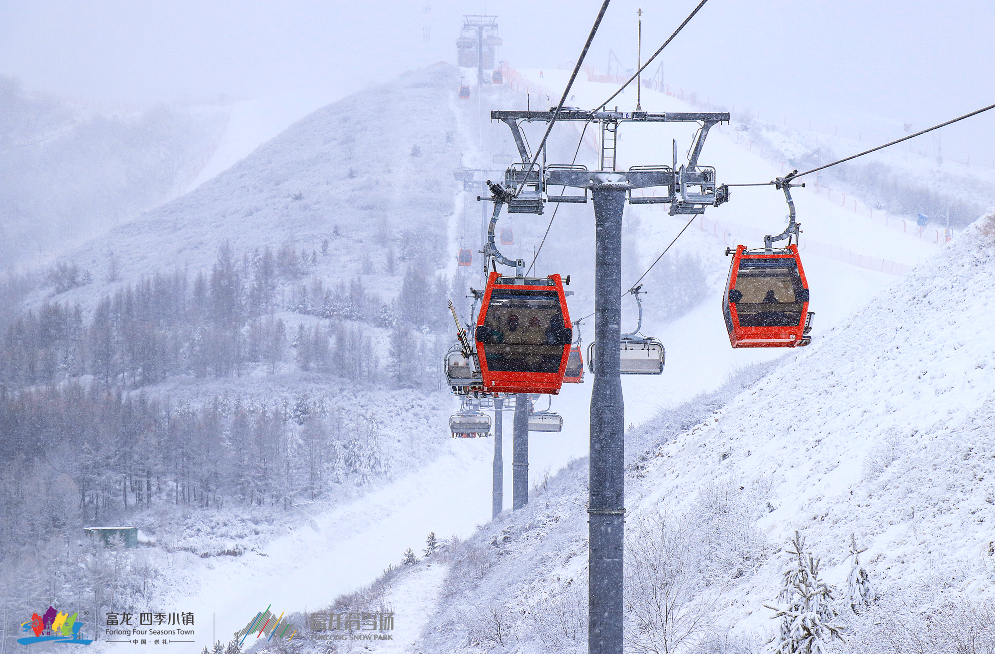 少年闯入无人之境:雪地上的谷爱凌与苏翊鸣