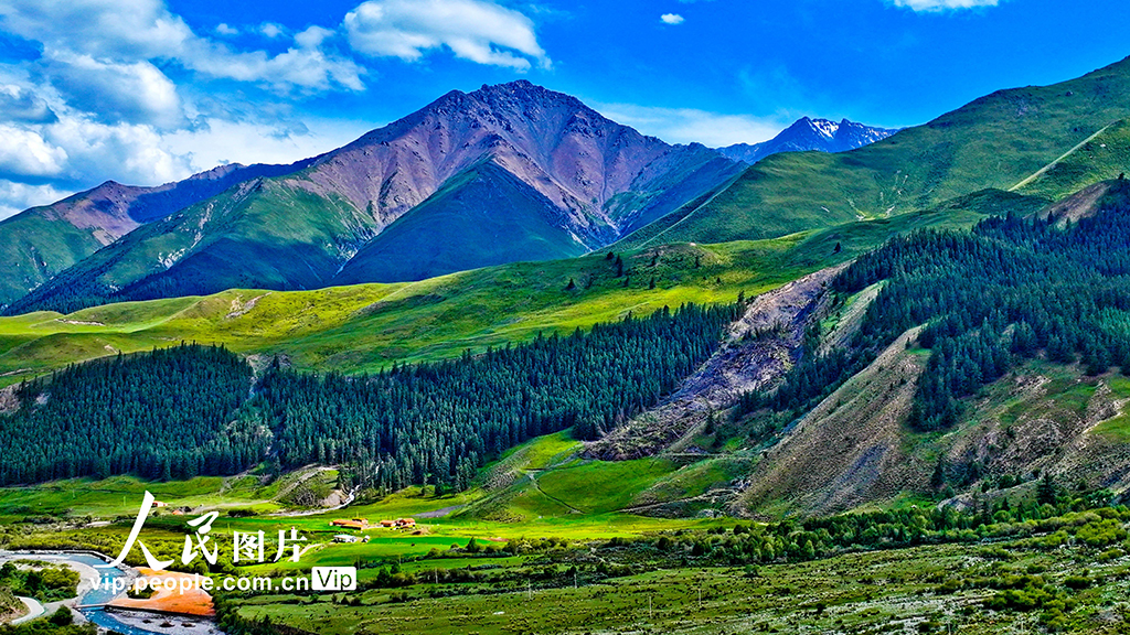 甘肃肃南:夏日祁连山国家公园景色迷人
