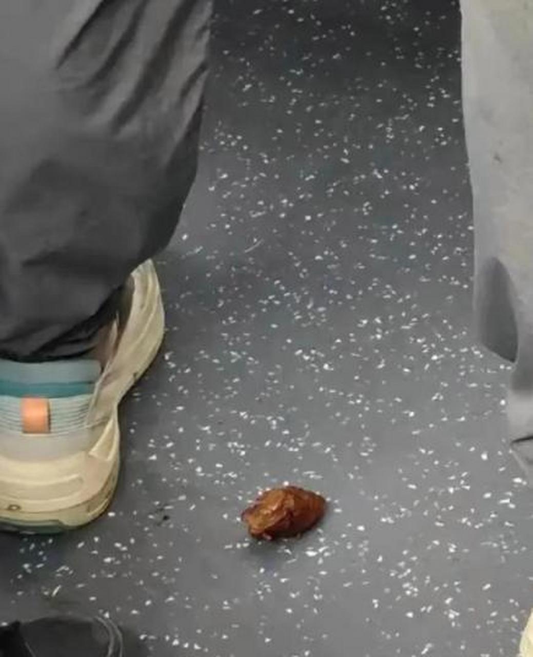 年轻人竟然在地铁上当众拉屎[汗]