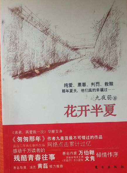 九夜茴《花开半夏》,读后笔记