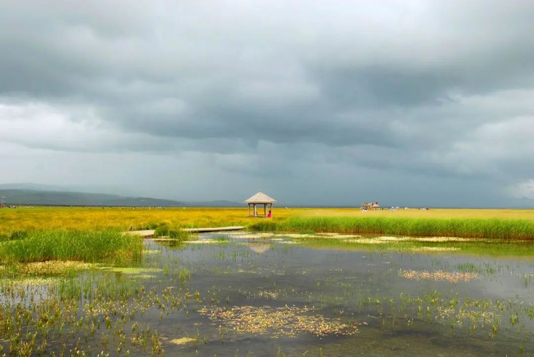 这条获得自驾线路金奖的"洛克之路"是这么走滴~卓尼(乡道)—5公里—上
