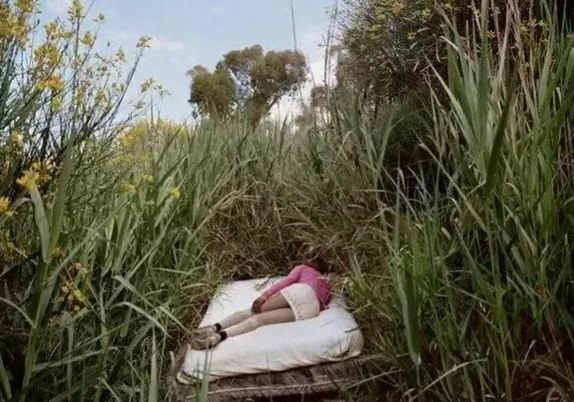 一则关于一位50岁大妈在小树林卖淫的新闻引起了网友的广泛关注.