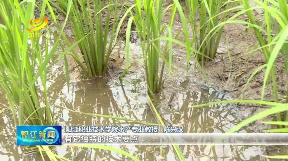 陈兴汉:禾虫人工繁殖和生态种养技术的领航人