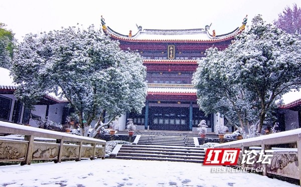 岳麓书院雪景图片