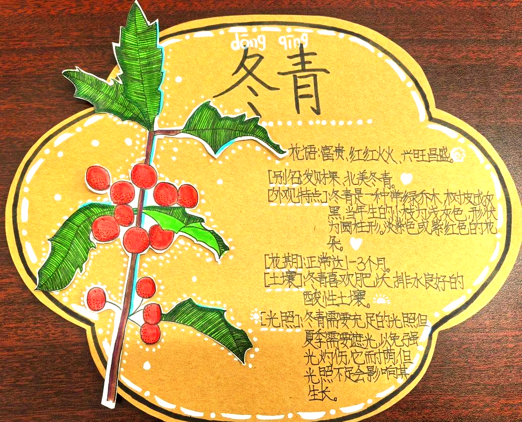 童心绘名牌:为校园植物注入绿色生态新活力