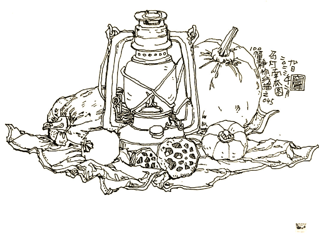 100幅钢笔画静物,让生活更美好