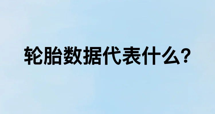 輪胎數據代表什麼?