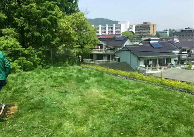 杭州青芝坞的这家民宿除了"性冷淡"风外,还更充实,更有温度