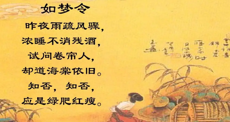 绿肥红瘦 李清照原词