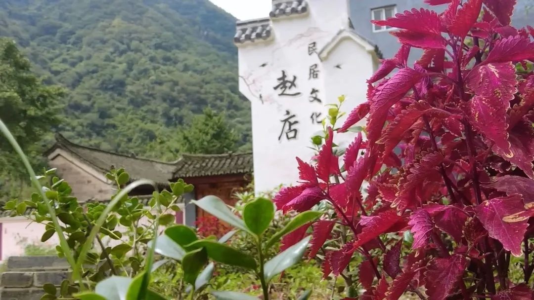 第二批全国乡村治理示范村|湖北省南漳县李庙镇赵店村