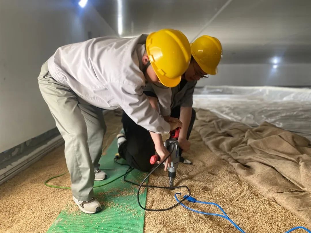 粮堆里藏"神器",松江4座储备粮库8月升级为"智慧粮仓"