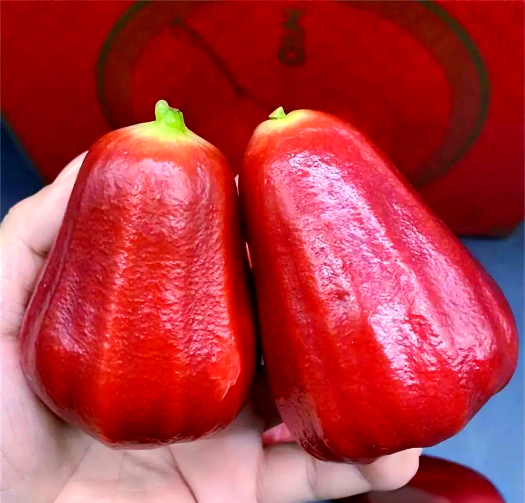 海南水果为何甜美?探索海南的多种特色水果