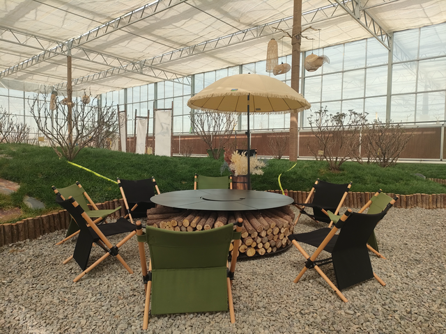 文旅贺兰丨无限春光好 贺兰金贵牡丹花乡春日旅游氛围浓