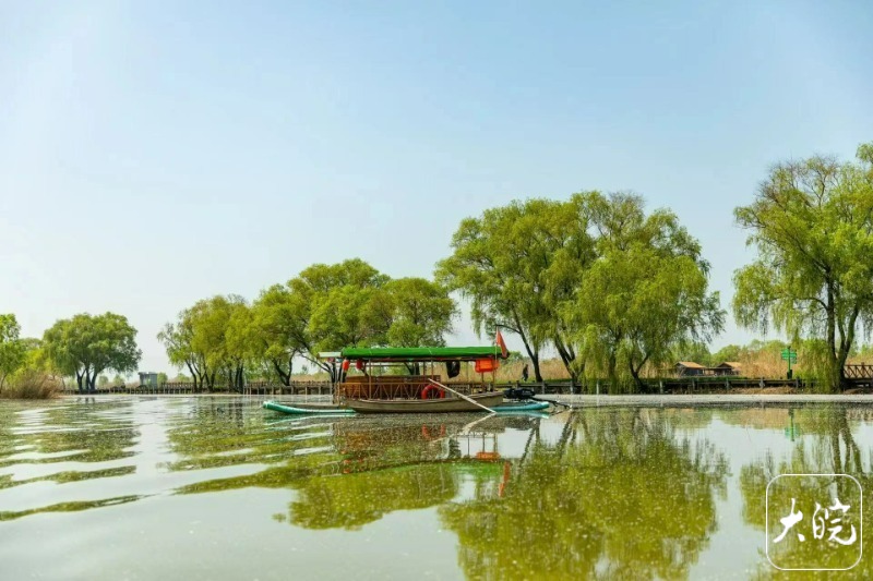 淮南焦岗湖风景区图片