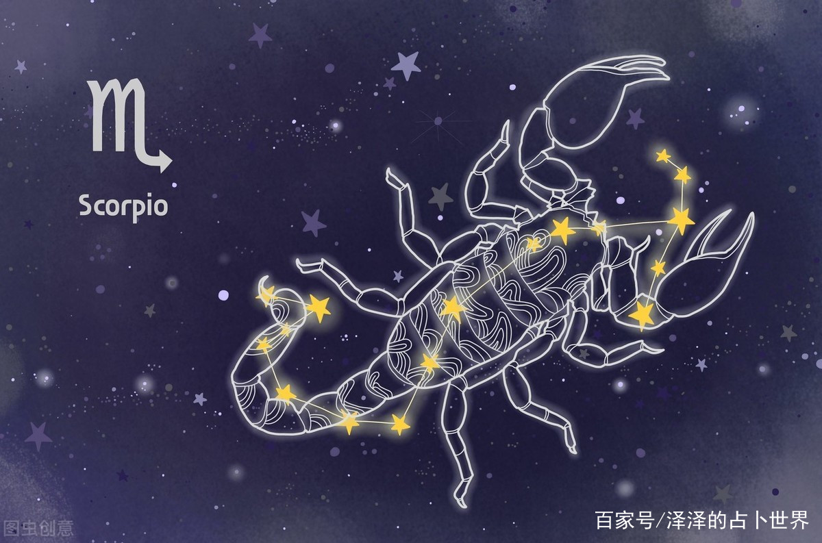 11月12日是什么星座女生(11月12日是什么星座)