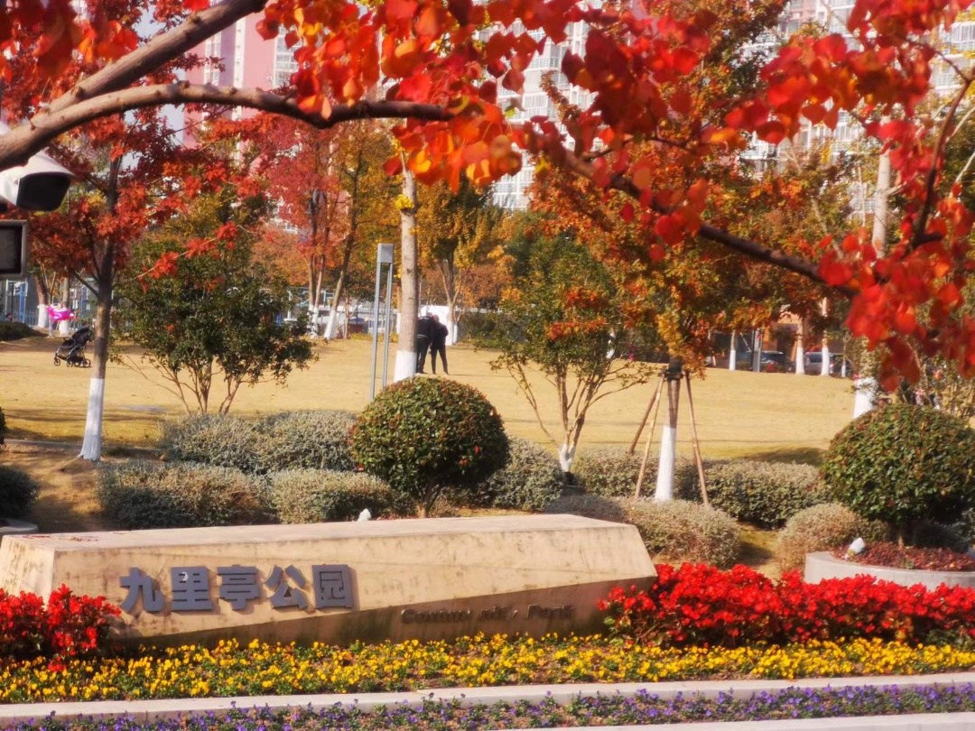 对标"人民满意","绣花般"精心打造!