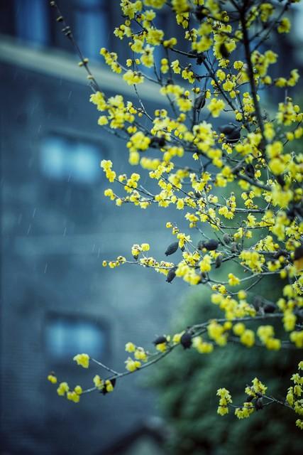 427_640竖版 竖屏