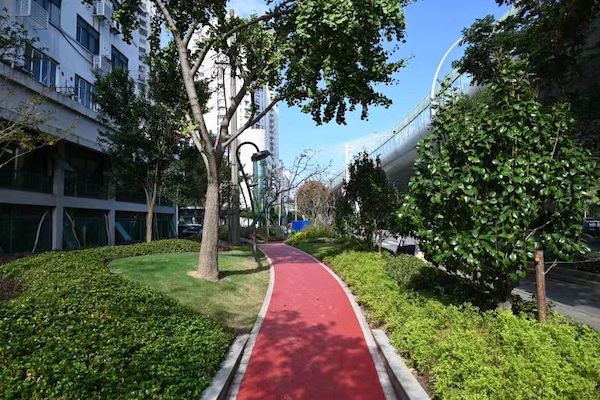 中环"植物绿带"留下"淞沪记忆" 汶水东路绿化景观提升后全新亮相开放