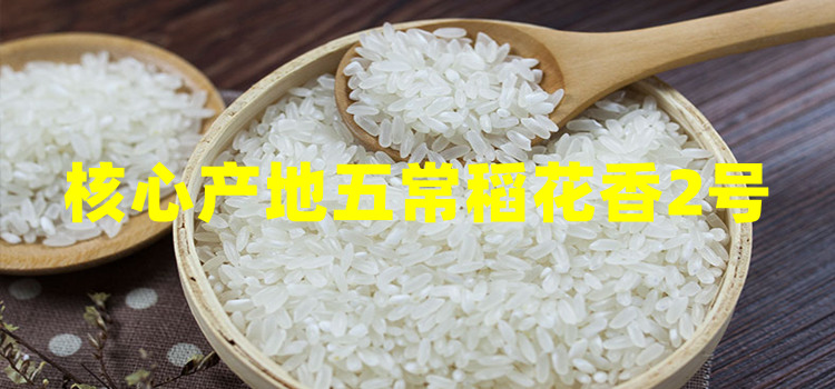 五常好大米,米村拌饭都在选用的风光里五常大米