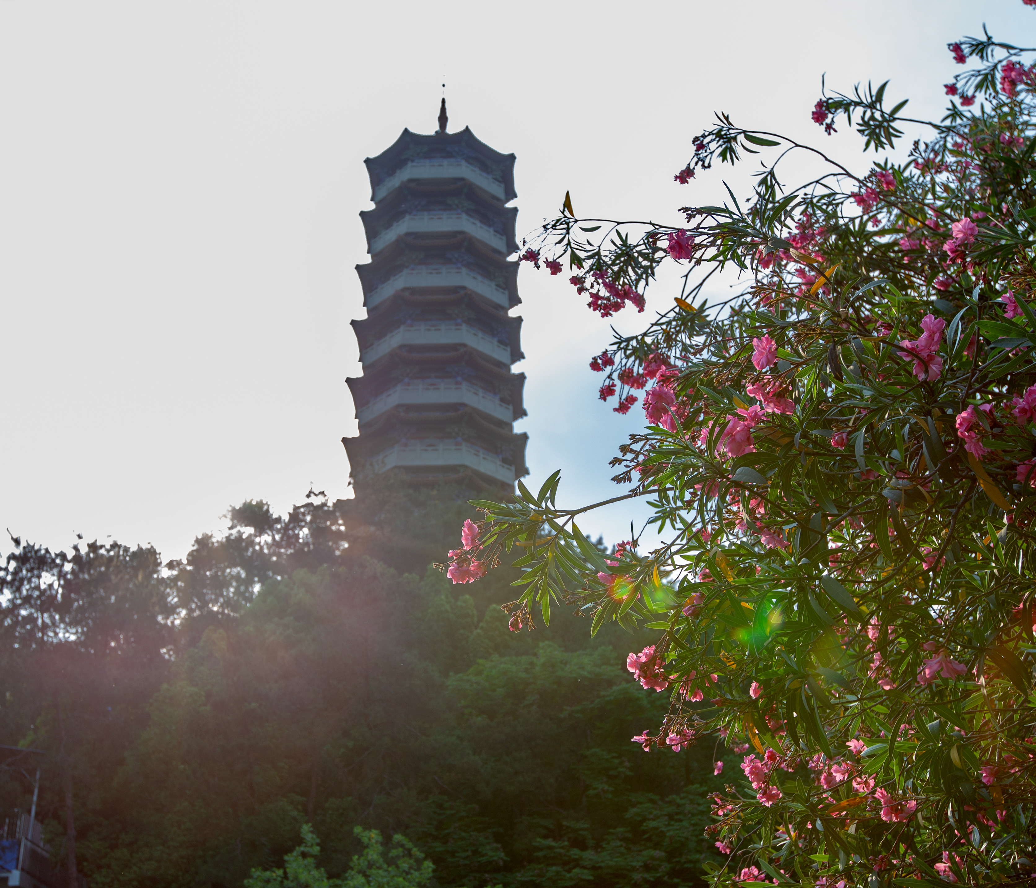 十堰市人民公园景区图片