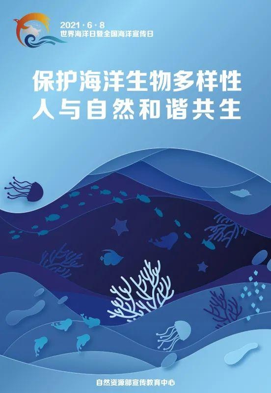 世界海洋日|海报·发现海洋之美 保护海洋生物多样性