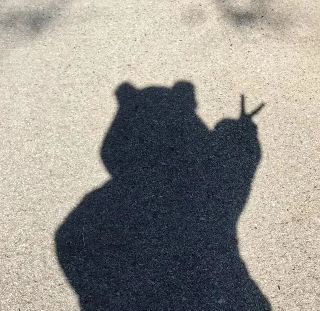 头像与影子文案集锦