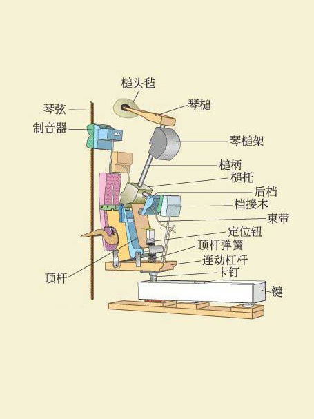 钢琴出现琴键不起现象的原因及处理方法