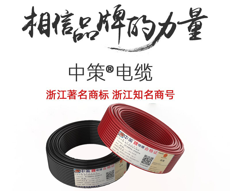 中策电缆-铜芯阻燃聚氯乙烯绝缘电线