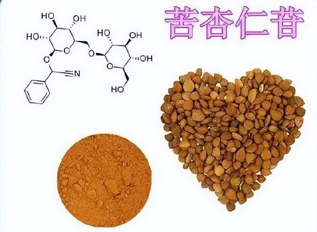 苦杏仁與甜杏仁,差之毫釐謬以千里